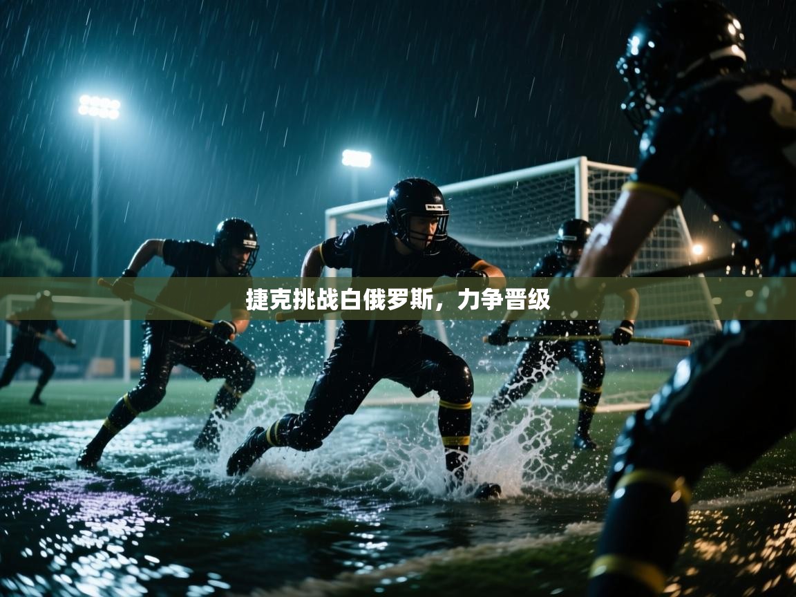 捷克挑战白俄罗斯，力争晋级  第2张