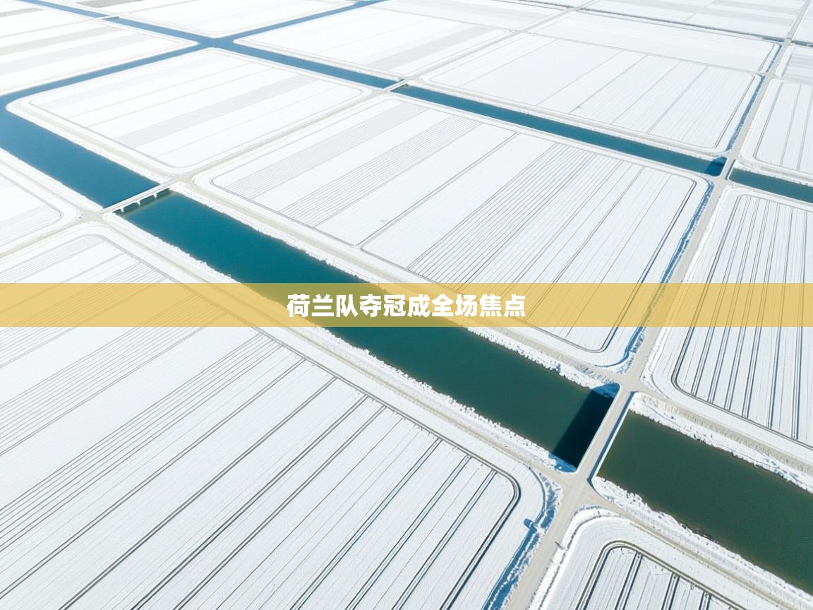 荷兰队夺冠成全场焦点 第2张