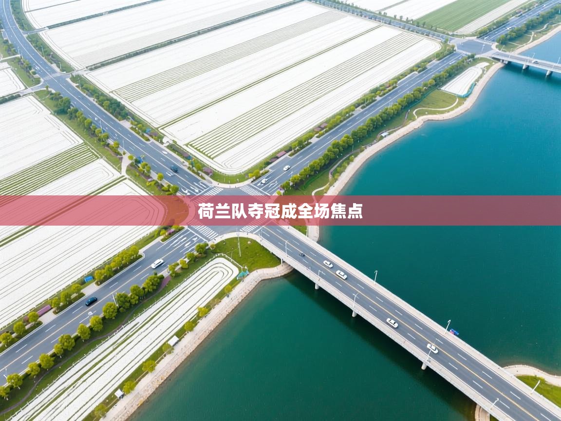 荷兰队夺冠成全场焦点 第1张