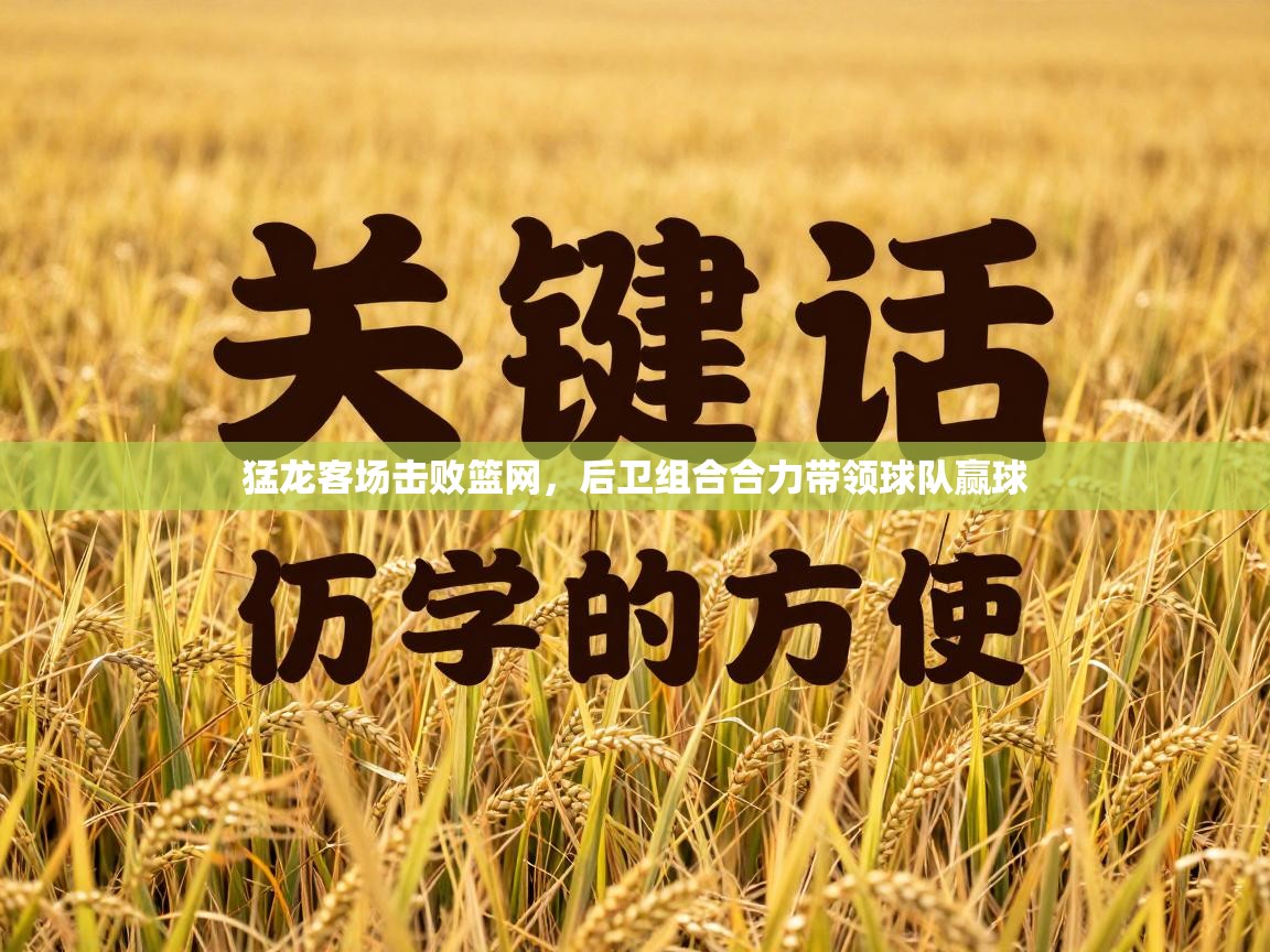 猛龙客场击败篮网，后卫组合合力带领球队赢球  第1张