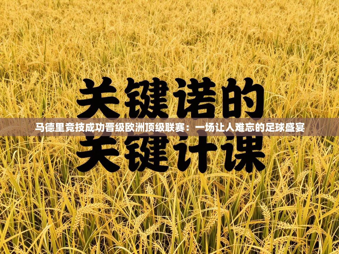 马德里竞技成功晋级欧洲顶级联赛：一场让人难忘的足球盛宴  第2张